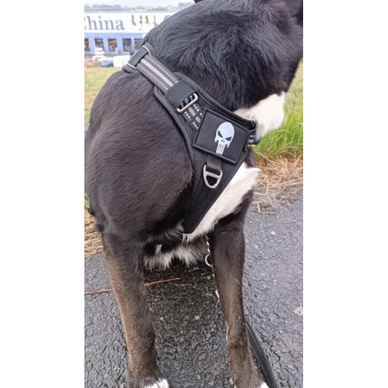 Totenkopf- und Gekreuzter Aufnäher photo review