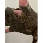 Taktische fingerlose Handschuhe Fast-M photo review