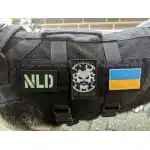 Biohazard-Aufnäher photo review