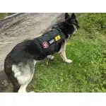 Biohazard-Aufnäher photo review