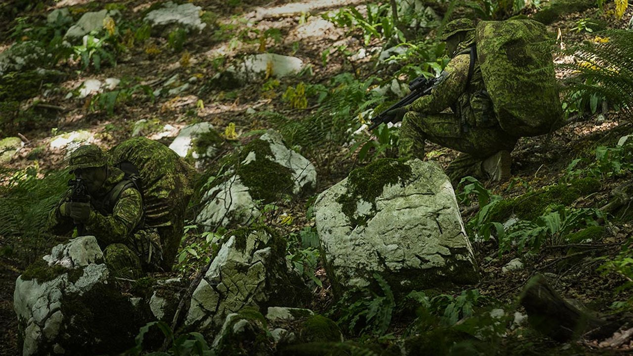 Pencott greenzone camo Wirksamkeit