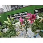 Schwarzer wasserdichter Militär-Poncho photo review