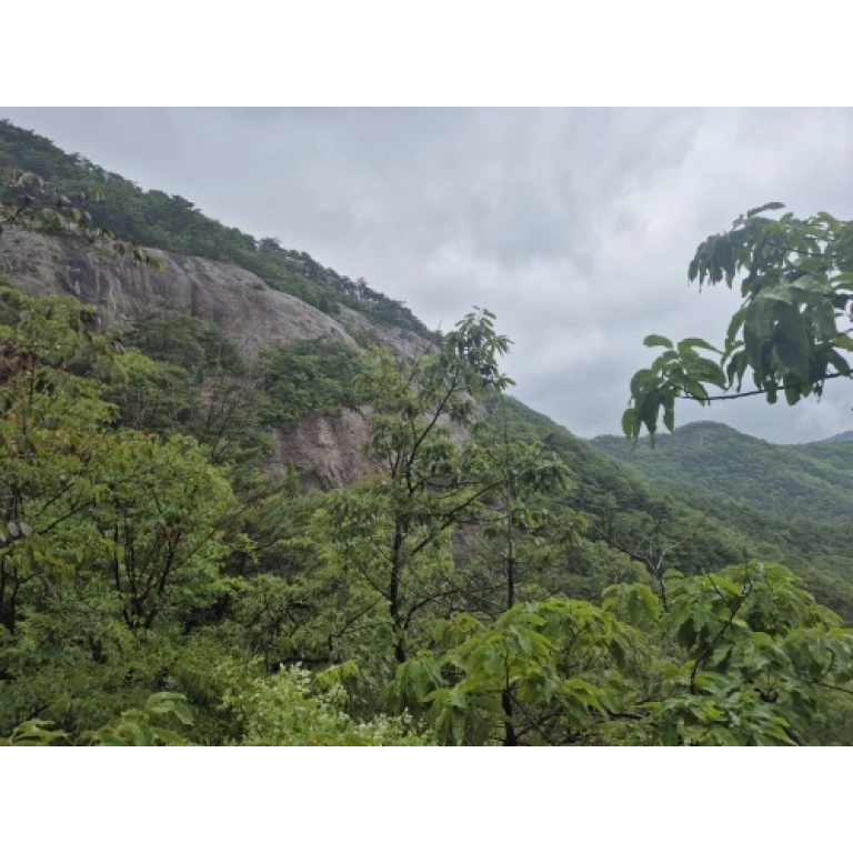 Wasserdichter Militär-Poncho in Marineblau photo review