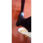 Leichte taktische Stiefel mit Reißverschluss in Desert Tan photo review