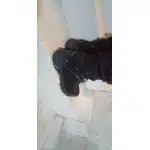 Wasserdichte Wildleder-Wanderschuhe Grau photo review