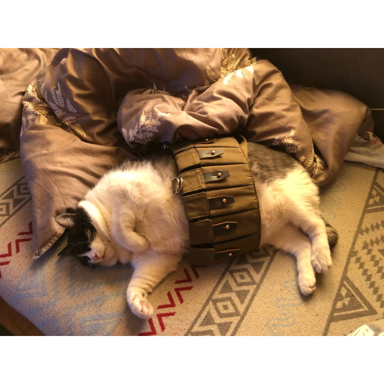 Sowjetisches Brusttragesystem R22 „Lifchik“ photo review