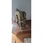 3-Tage Militärrucksack mit MOLLE-System photo review