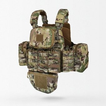 Molle Plate Carrier With Pouches