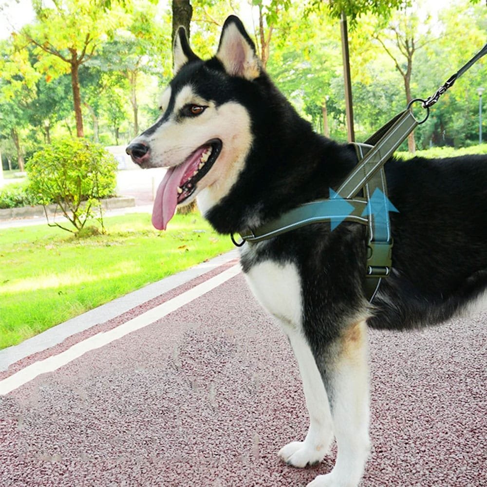 Taktisches minimalistisches Hundegeschirr – Bild 2