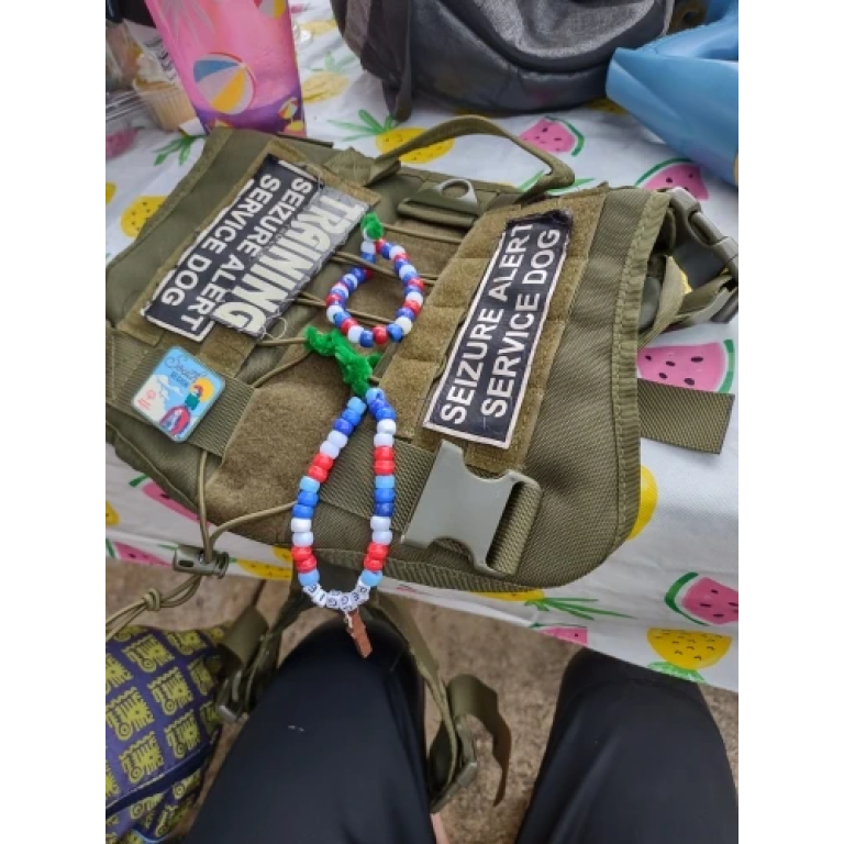 Tactical dog harness vest photo review