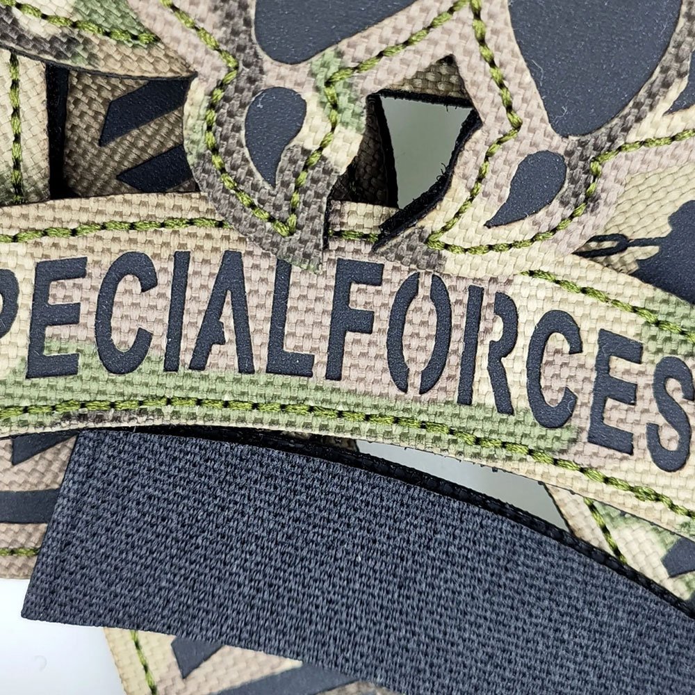 Special Forces Army Patch – Bild 2