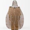 coyote-brown-de