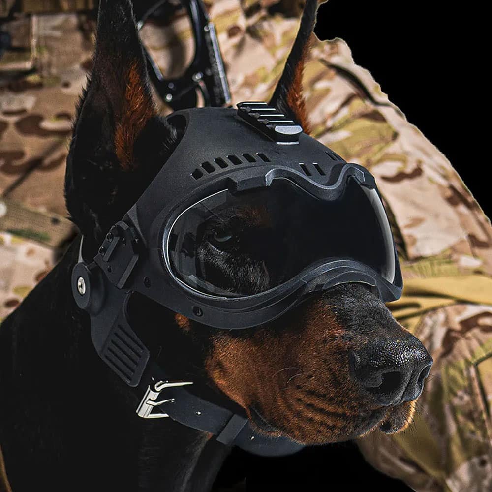 K9 Taktischer Hundehelm – Bild 2