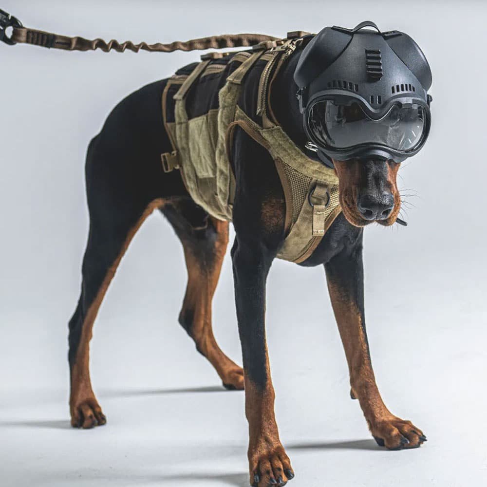 K9 Taktischer Hundehelm – Bild 7