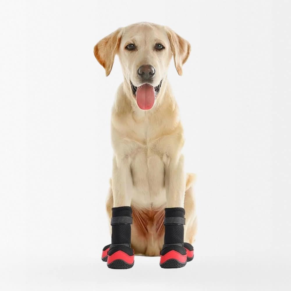 Militär-Hundeschuhe – Bild 2