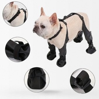 Taktische Hundeschuhe mit Geschirr