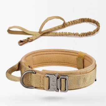 Taktisches Hundehalsband und Leine