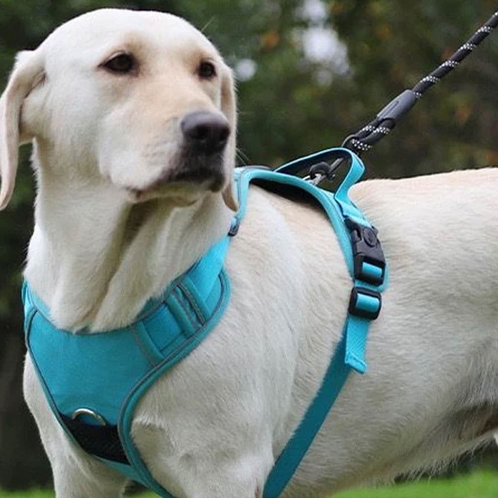 Taktisches Hundegeschirr mit Airtag – Bild 3