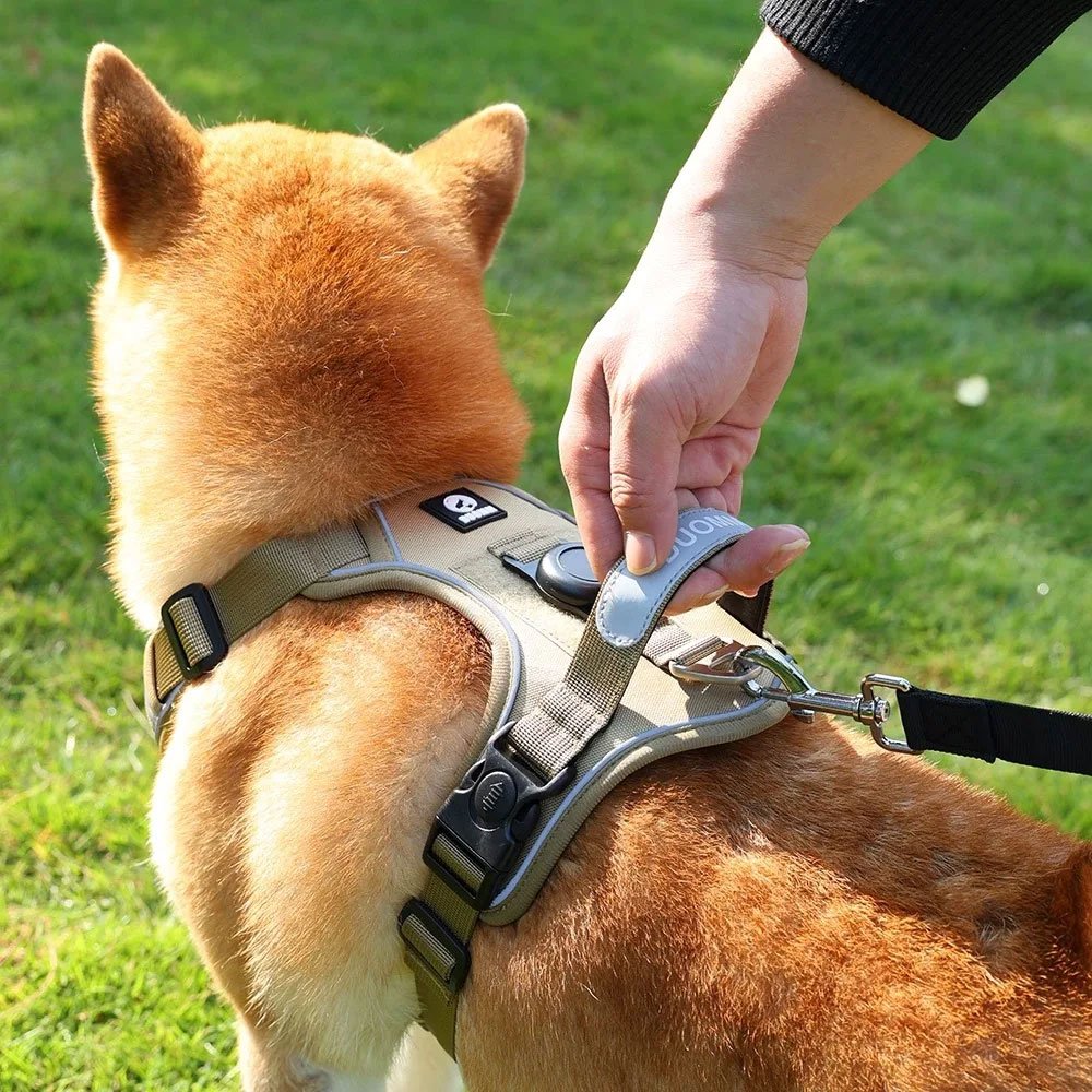 Taktisches Hundegeschirr mit Airtag – Bild 2