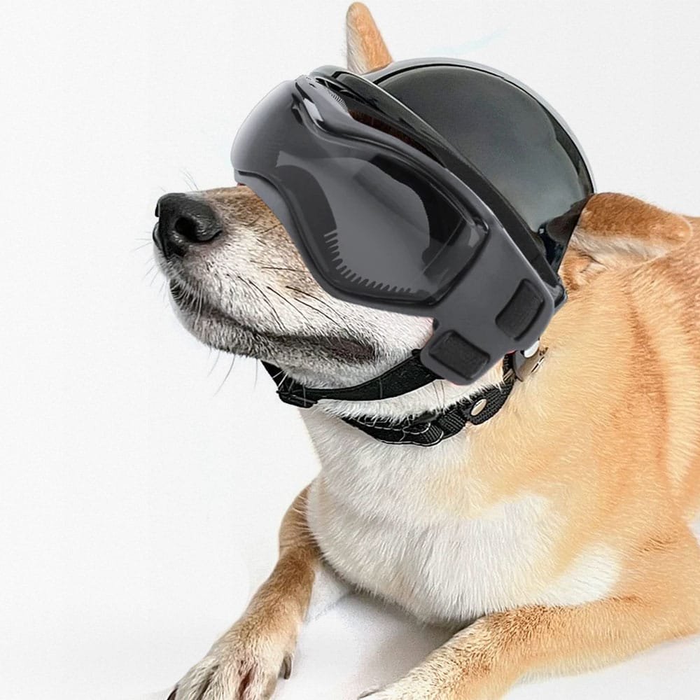 Taktischer Hundehelm mit Schutzbrille – Bild 2