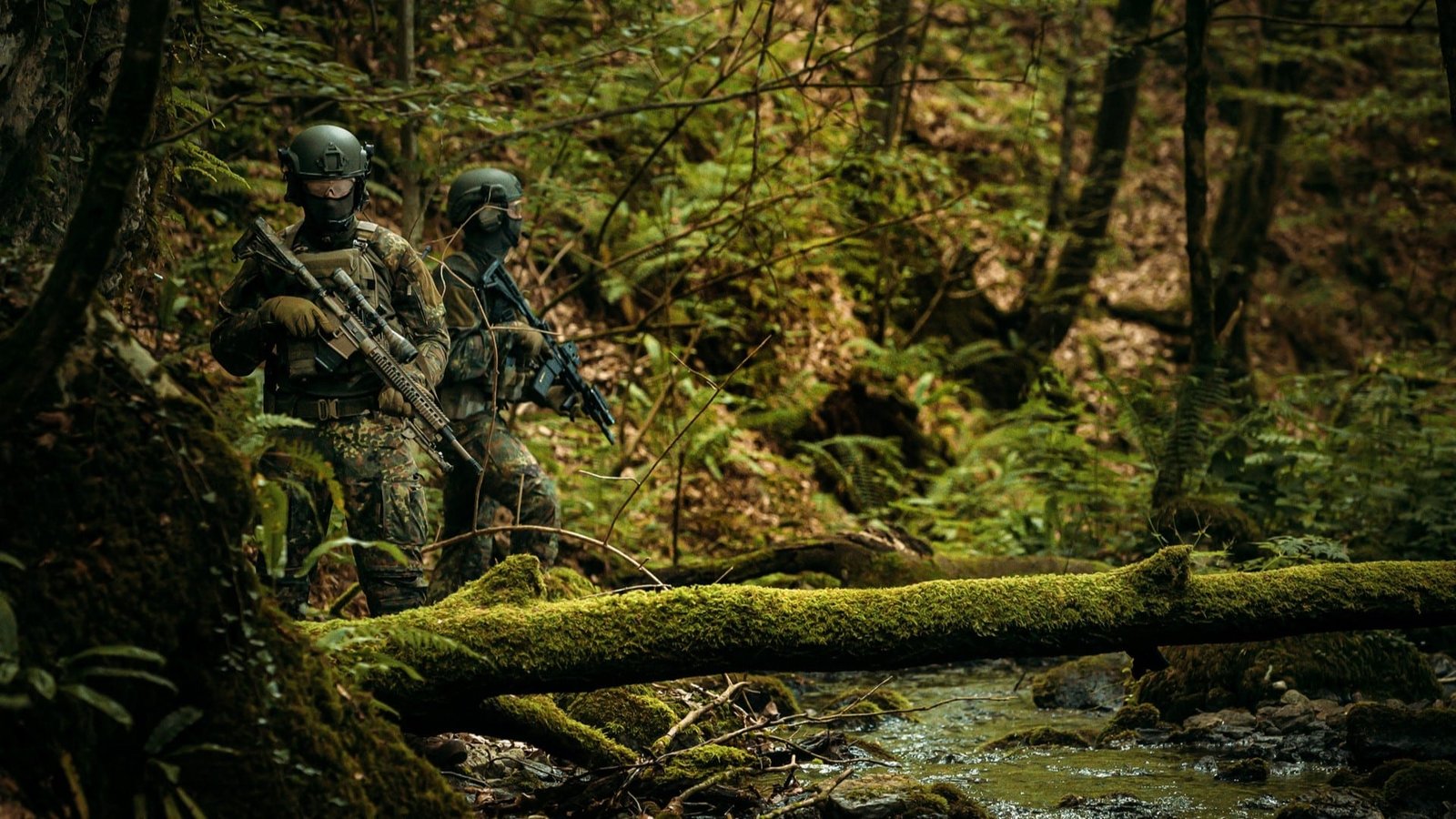 Flecktarn-Effizienz